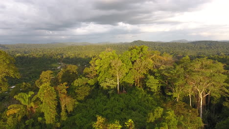 Sonnenuntergang-über-Dem-Tiefen-Regenwald-Von-Guayana-Im-Amazonas-Park-Saül.-Drohnen-Luftaufnahme